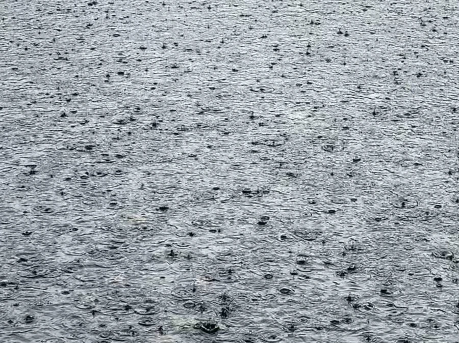 IMG_1735.jpg?type=w966