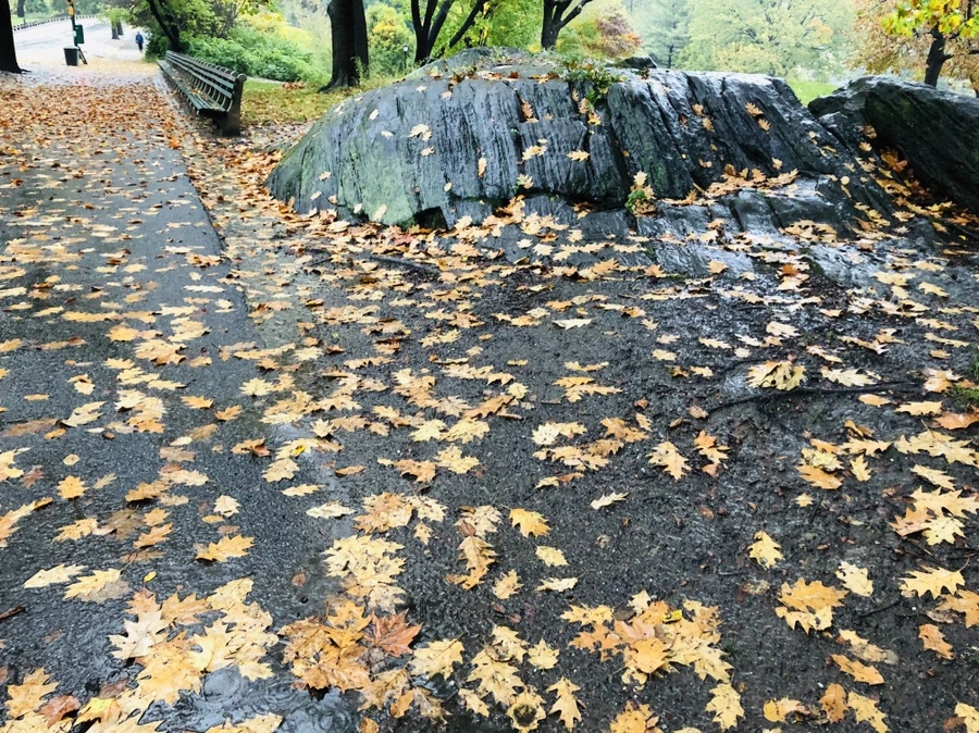 IMG_3118.jpg?type=w966