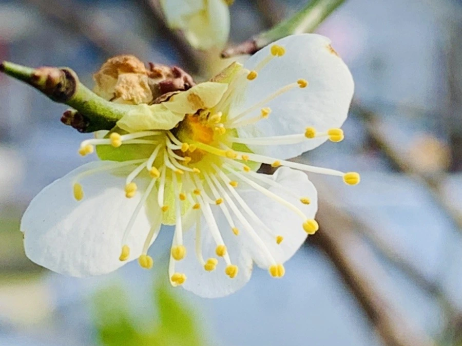 h5RZP7ggfJcyQHgWS93kSuq1xC0