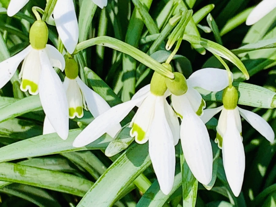 IMG_3135.jpg?type=w966