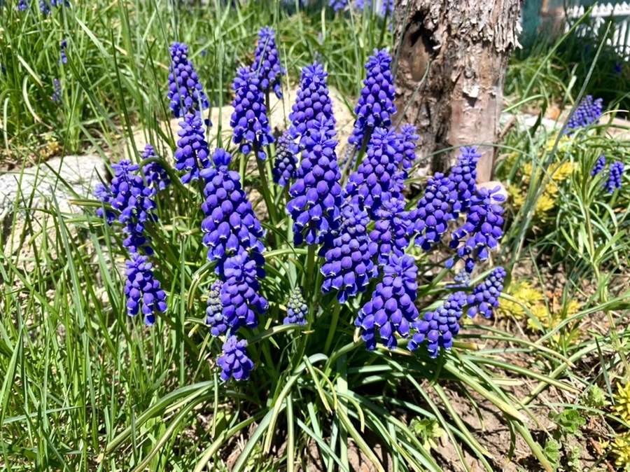 IMG_8596.jpg?type=w966