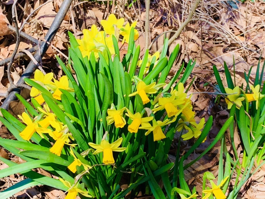 IMG_5812.jpg?type=w966