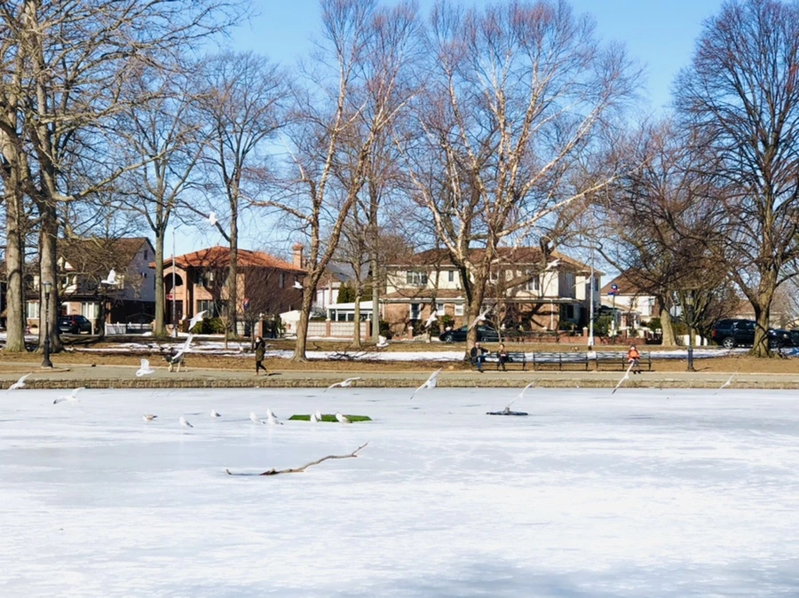 IMG_4722.jpg?type=w966