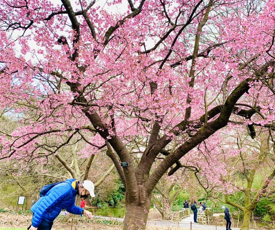 IMG_7054.jpg?type=w966