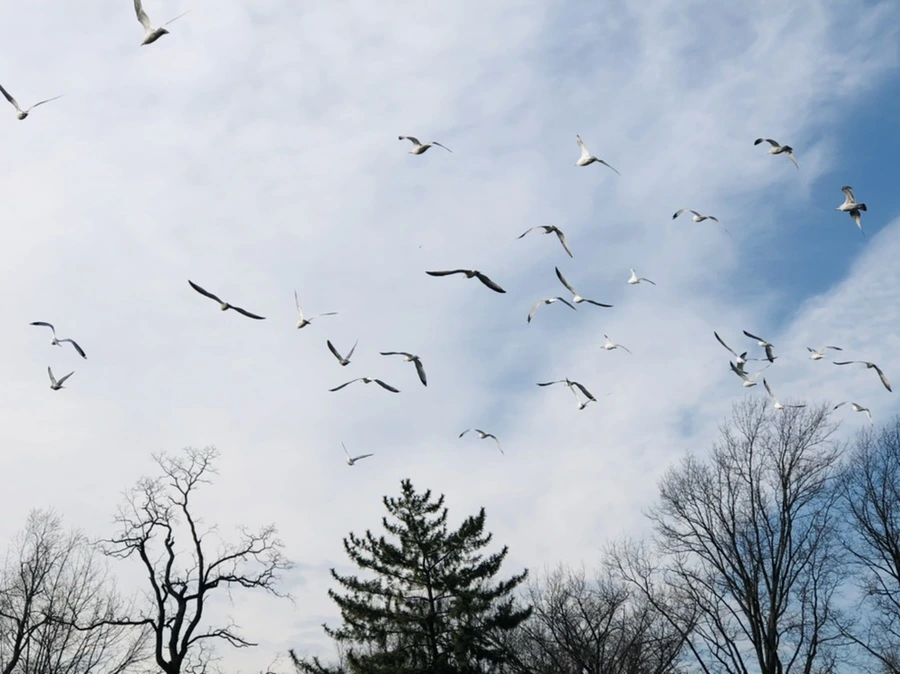 IMG_4710.jpg?type=w966