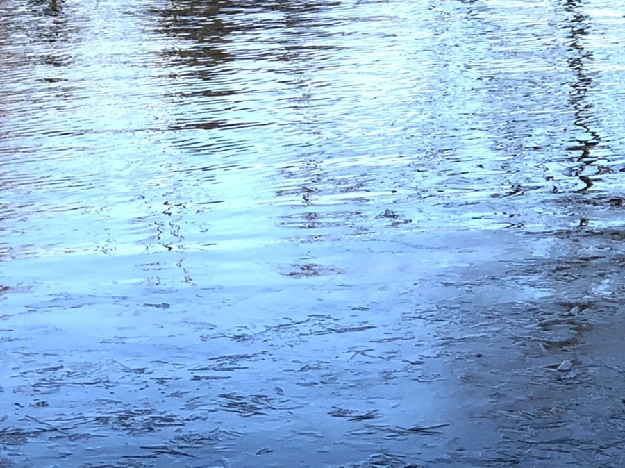 IMG_1439.jpg?type=w966