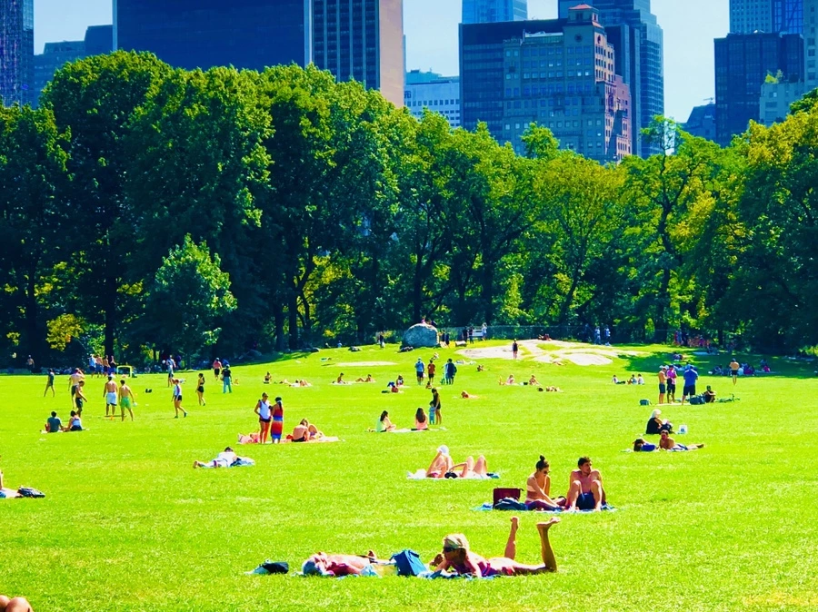 IMG_9349.jpg?type=w966