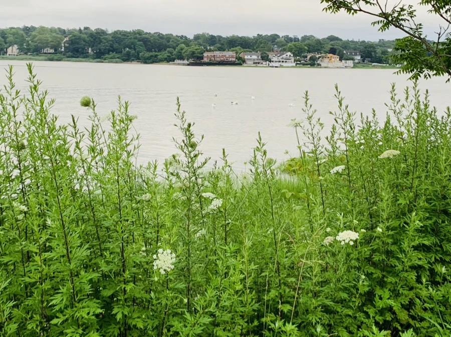 IMG_7108.jpg?type=w966