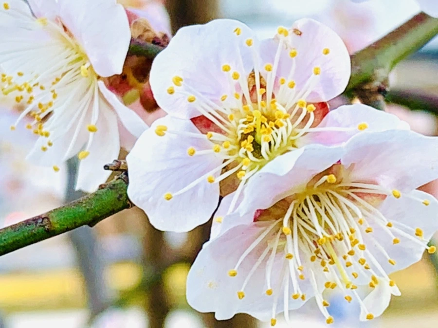 IMG_0819.jpg?type=w966