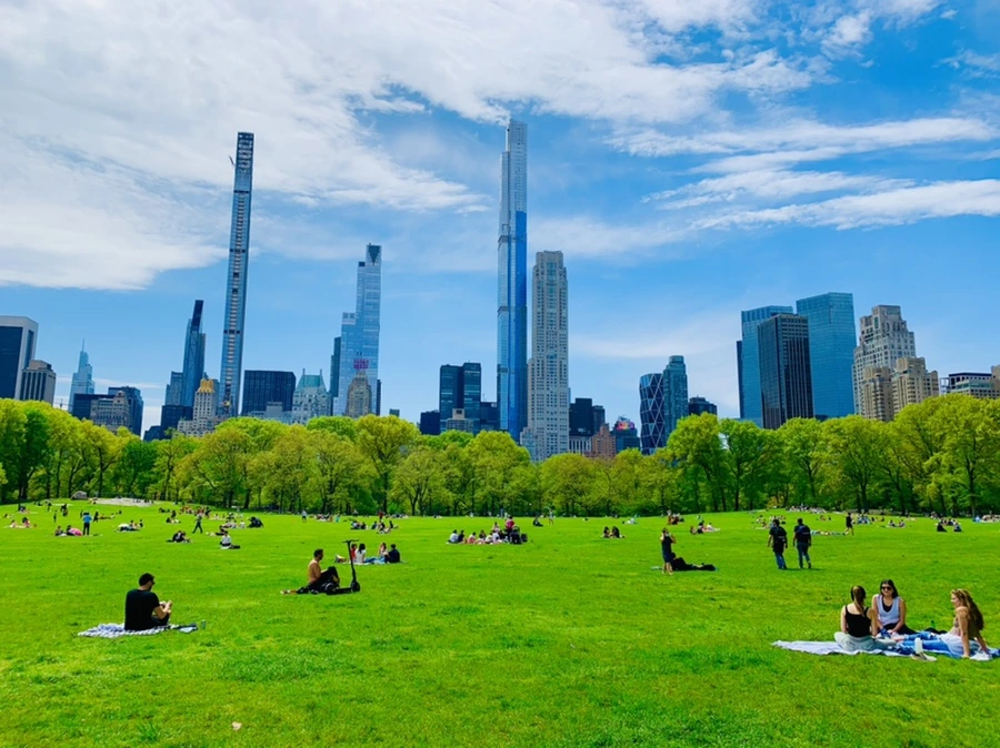 IMG_8799.jpg?type=w966