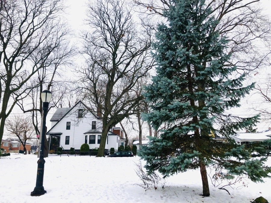 rpzgwD203BOP_9RJDyGj9hwLJdY