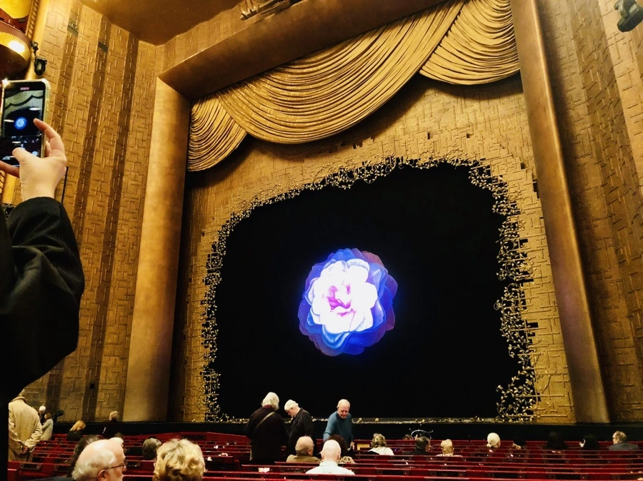 IMG_3525.jpg?type=w966