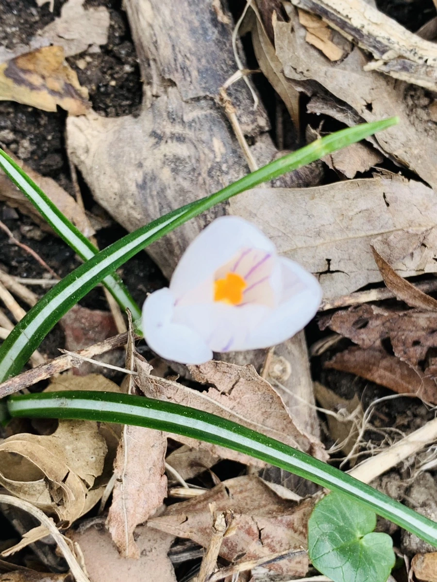 IMG_3510.jpg?type=w966