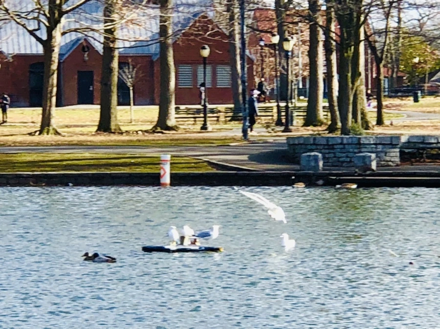 IMG_9239.jpg?type=w966