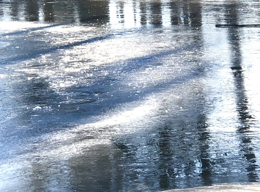 IMG_1432.jpg?type=w966