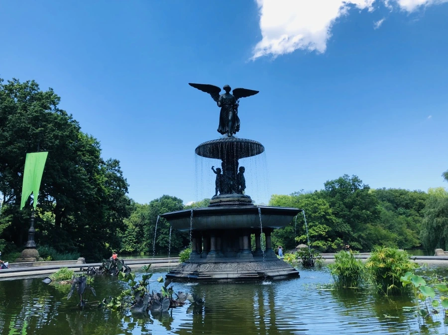 IMG_5731.jpg?type=w966