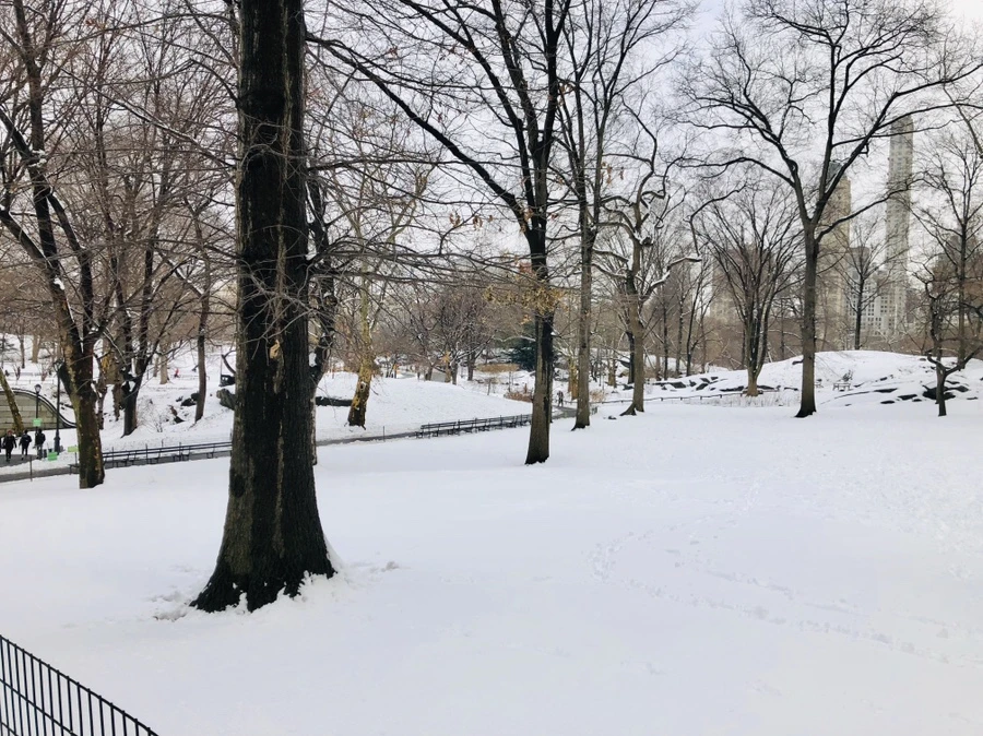 IMG_0370.jpg?type=w966