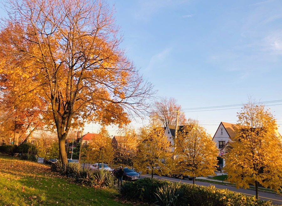 IMG_5693.jpg?type=w966