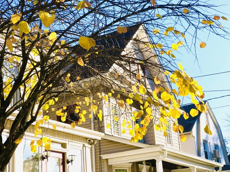 IMG_4073.jpg?type=w966