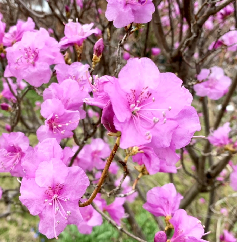 IMG_4678.jpg?type=w966