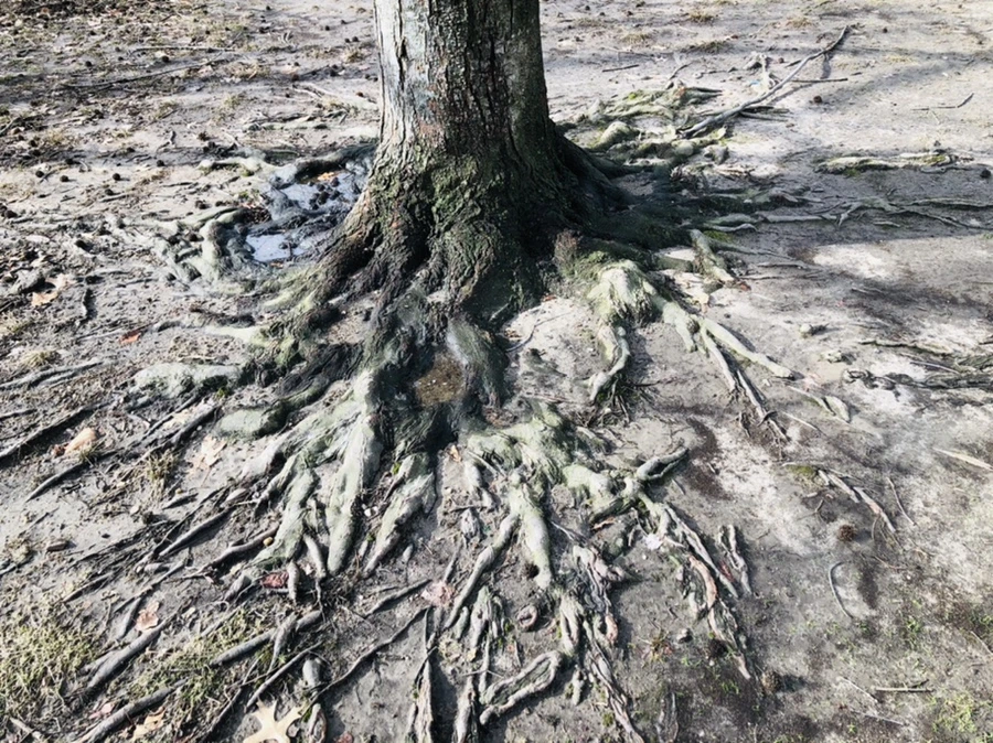 IMG_3673.jpg?type=w966