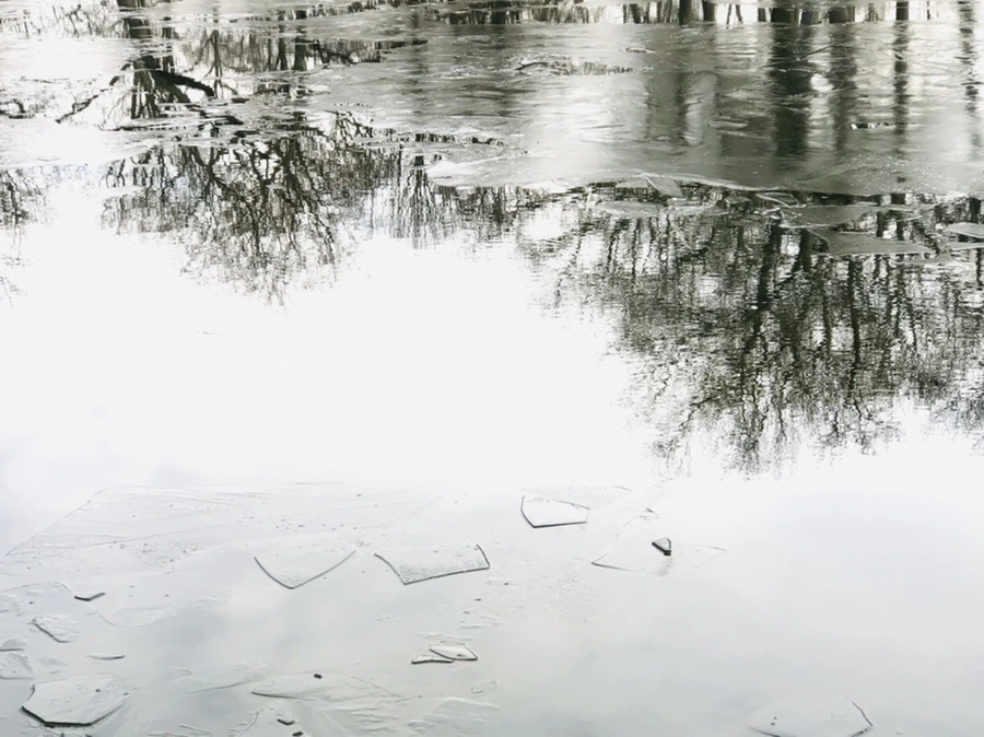 IMG_4769.jpg?type=w966