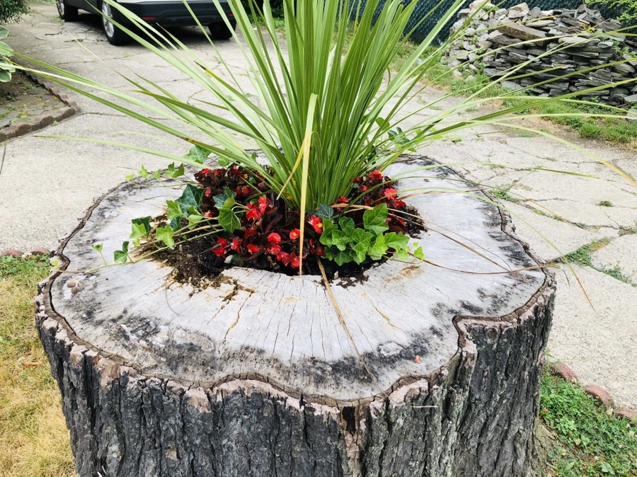 IMG_2062.jpg?type=w966