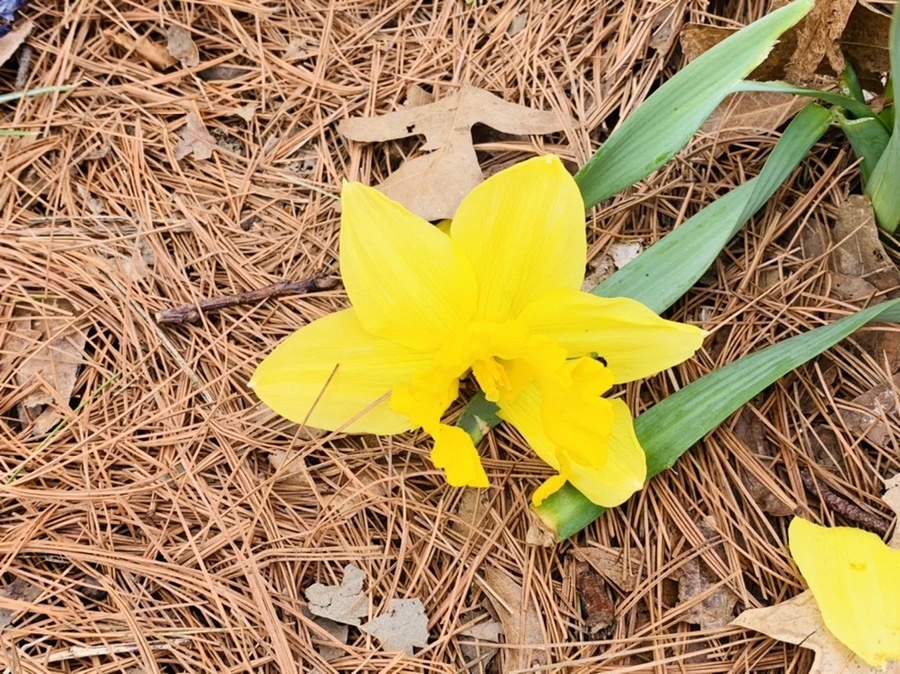 IMG_3453.jpg?type=w966