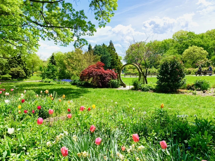 IMG_1404.jpg?type=w966