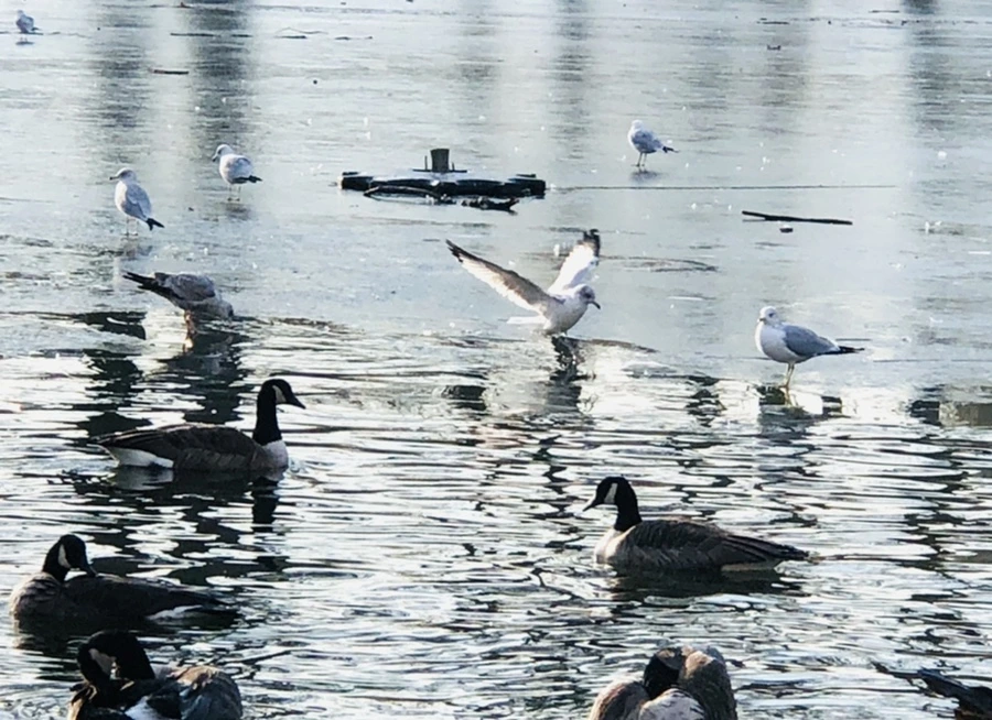 IMG_2806.jpg?type=w966