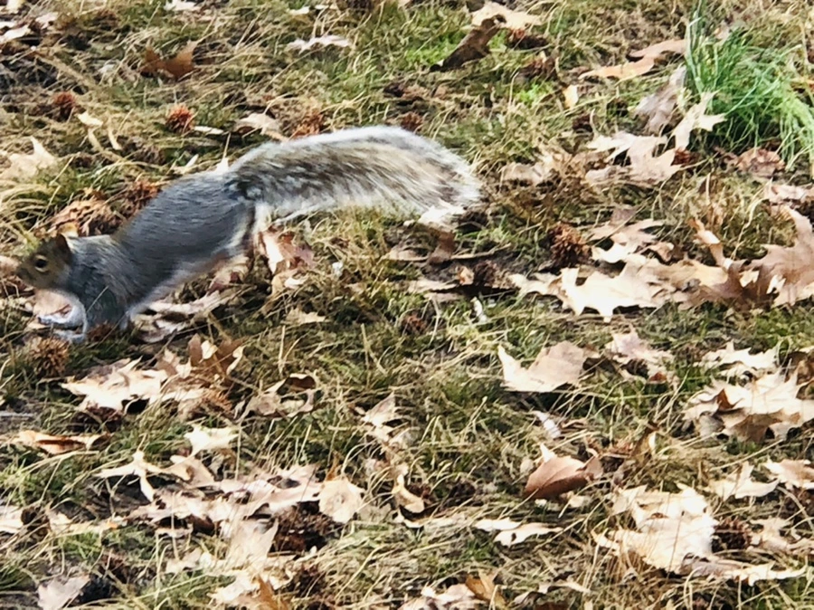 IMG_9932.jpg?type=w966