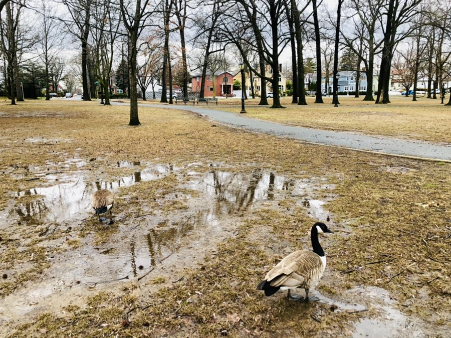 IMG_6557.jpg?type=w966