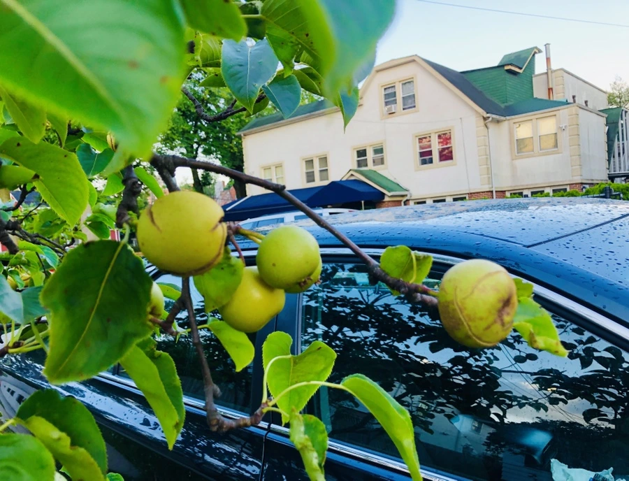 IMG_2394.jpg?type=w966