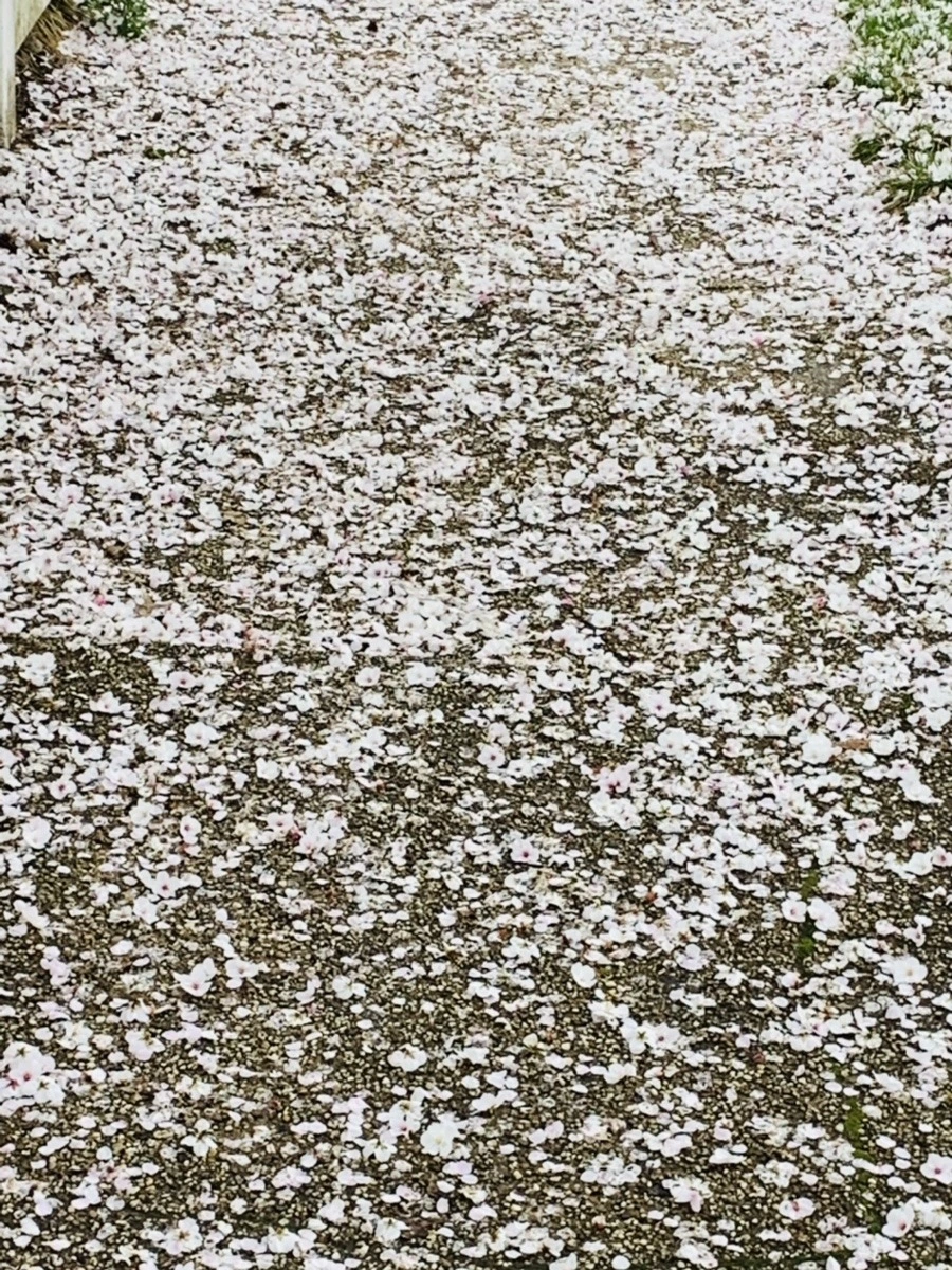 _TgetrHlmBrY236zxKkukEpmGvM