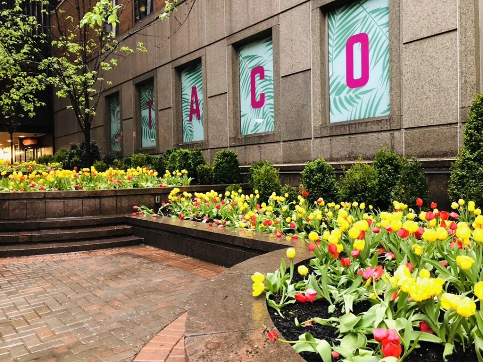 IMG_3481.jpg?type=w966