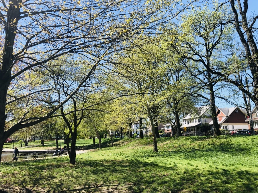 IMG_3510.jpg?type=w966