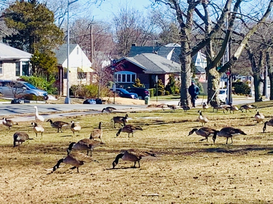 IMG_6623.jpg?type=w966