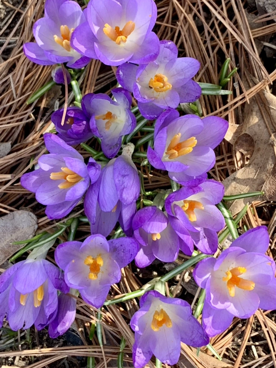 IMG_0165.jpg?type=w966