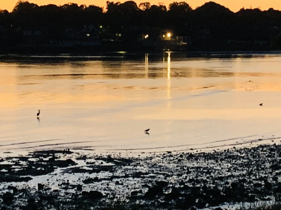 IMG_8498.jpg?type=w966