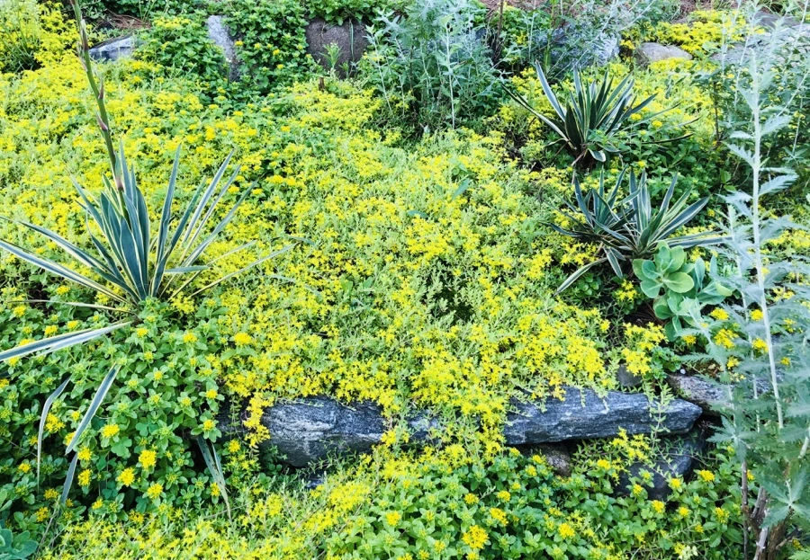 IMG_8394.jpg?type=w966