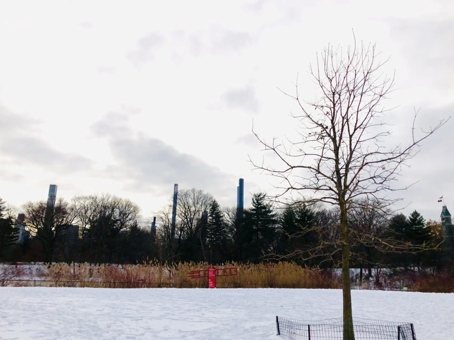 IMG_7323.jpg?type=w966