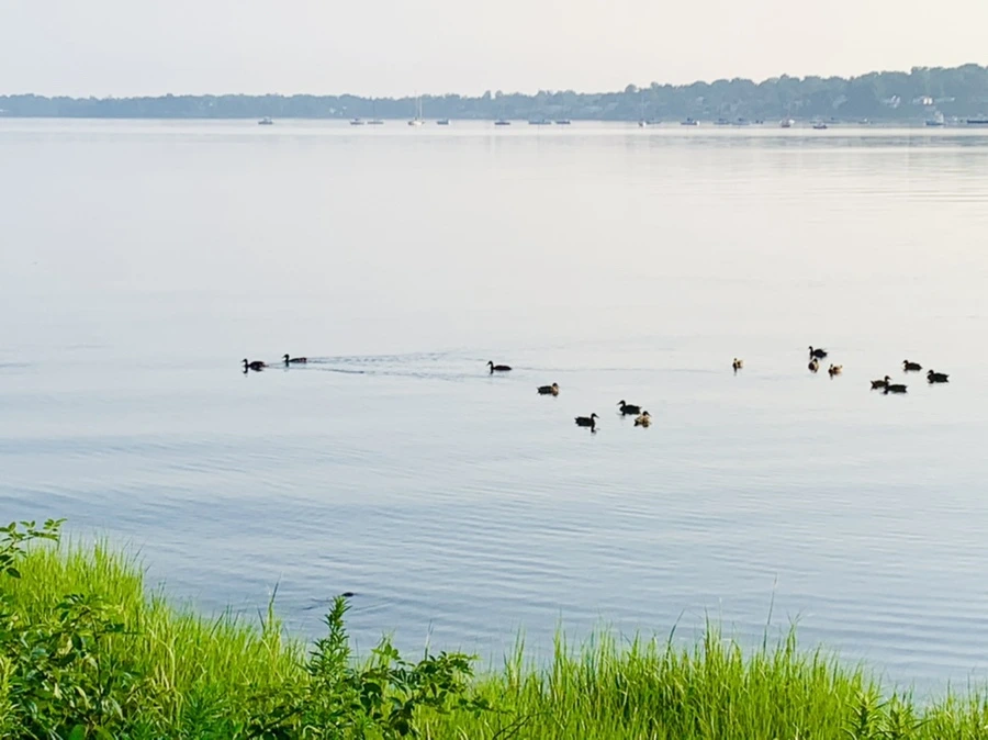 IMG_6513.jpg?type=w966