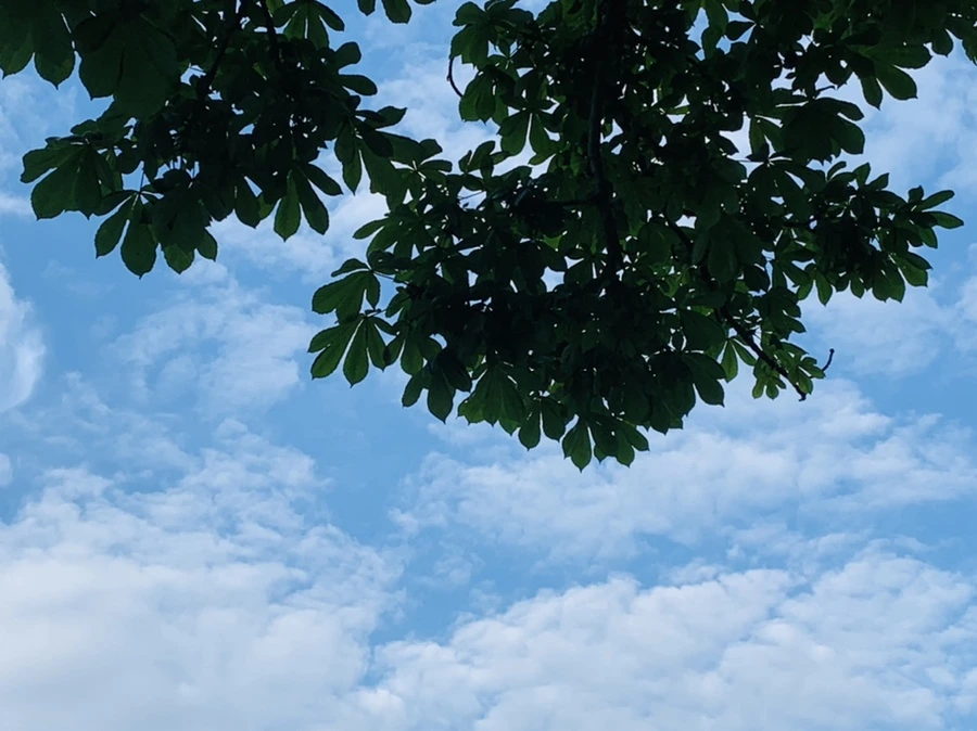 IMG_5822.jpg?type=w966