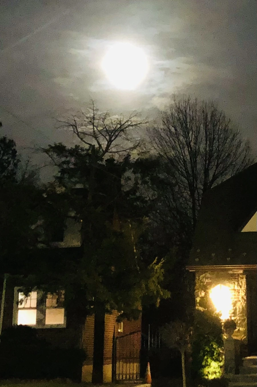 IMG_8574.jpg?type=w966