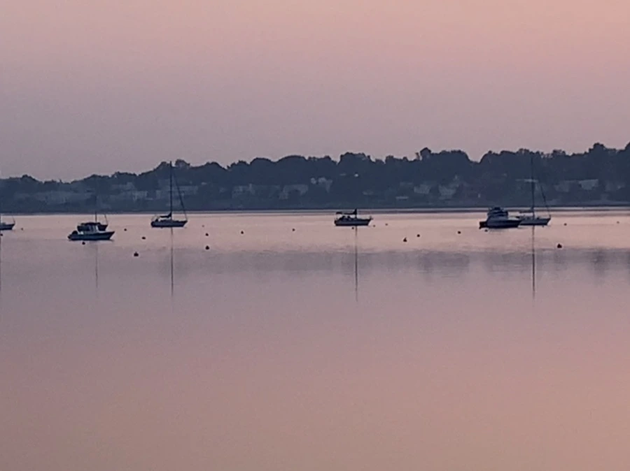 IMG_1996.jpg?type=w966