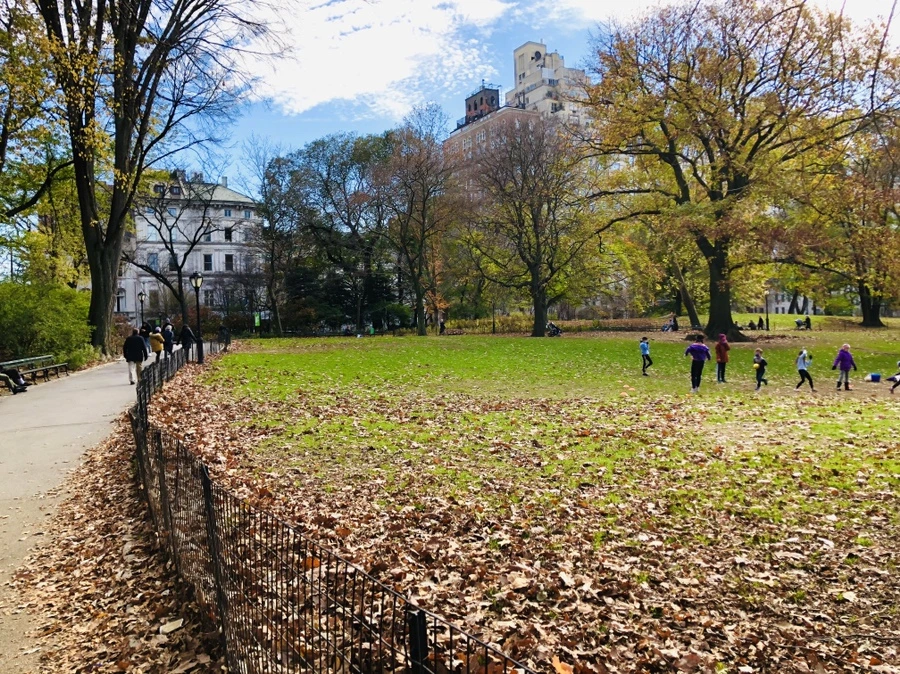 IMG_4973.jpg?type=w966