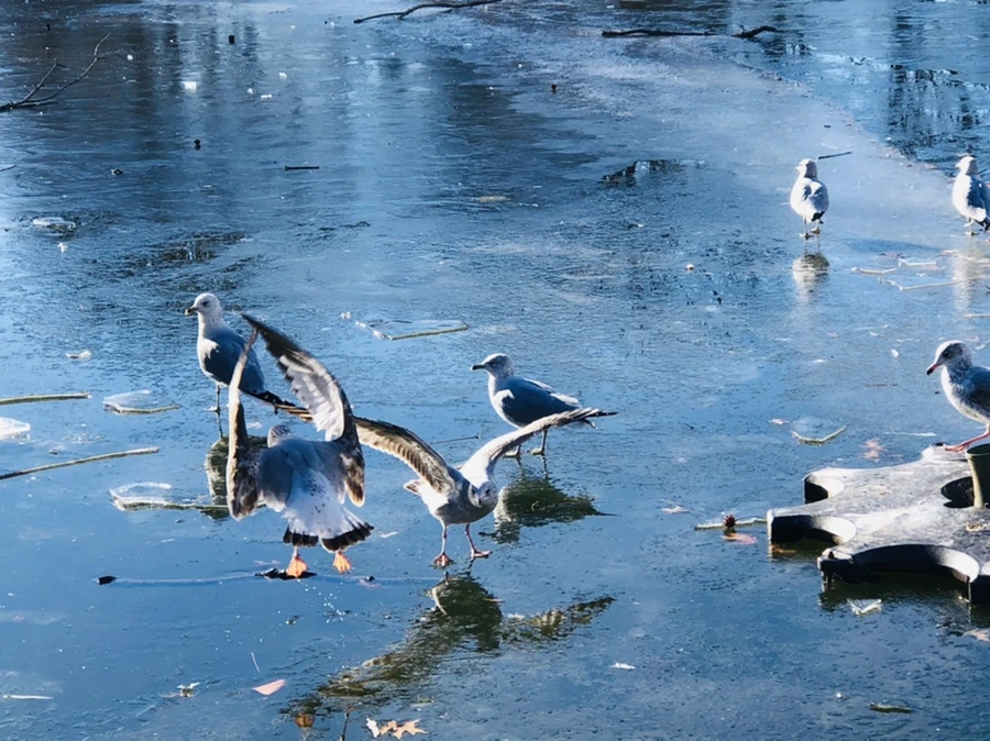 IMG_1858.jpg?type=w966