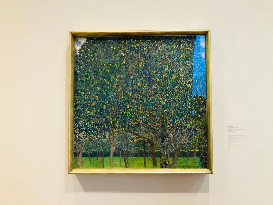 IMG_6945.jpg?type=w966