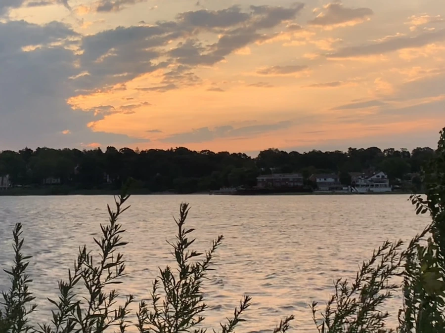 IMG_1703.jpg?type=w966