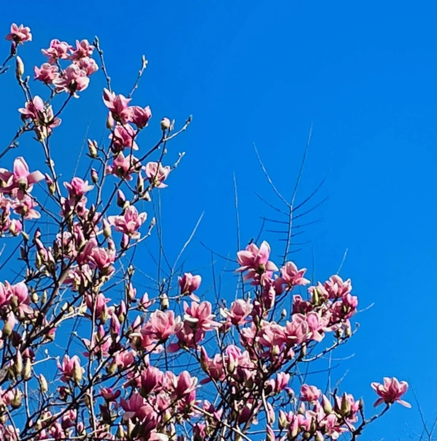 IMG_6335.jpg?type=w966